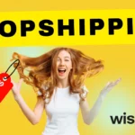 dropshipping nedir
